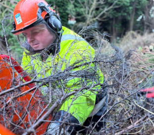 Tree Surgery Wakefield