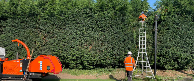 Hedge Cutting Wakefield